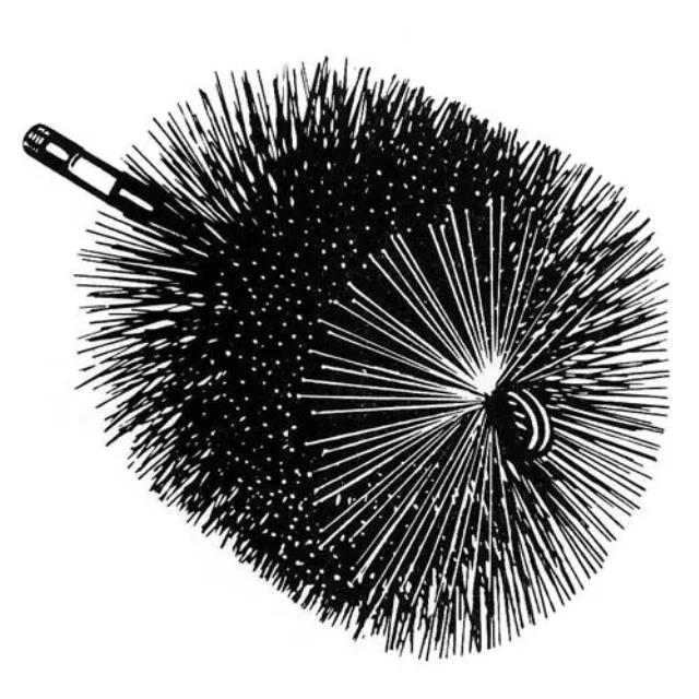 Rental store for BRUSH, CHIMNEY 9 in Helena MT