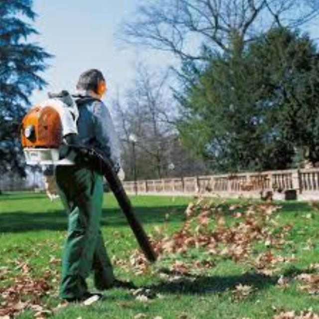 Where to find BLOWER, BACKPACK GAS in Helena